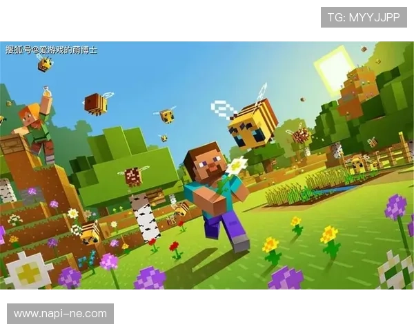 凯时官方旗舰店用户评价与反馈汇总帮助新玩家选择优质游戏产品