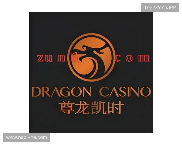 尊龙凯时国际官网入口提供丰富的游戏种类和专业的客服支持，满足不同玩家的多样需求